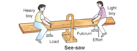 See-saw is an example of class I lever in which the fulcrum is in between the load and the effort so that the effort arm is equal to the load arm. Concise Physics Solutions ICSE Class 6.