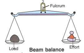 Beam balance is a type of class I lever in which the fulcrum is in between the load and the effort so that the effort arm is equal to the load arm. Concise Physics Solutions ICSE Class 6.