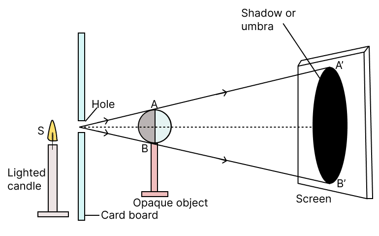 Draw a ray diagram to show the formation of shadow of an opaque object by a point source of light. How is the size of shadow affected if the screen is moved away from the object? Concise Physics Solutions ICSE Class 6.