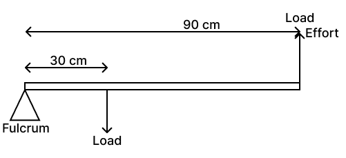 In a lever, fulcrum is at one end at a distance of 30 cm from the load and effort is at the other end at a distance of 90 cm from the load. Concise Physics Solutions ICSE Class 6.