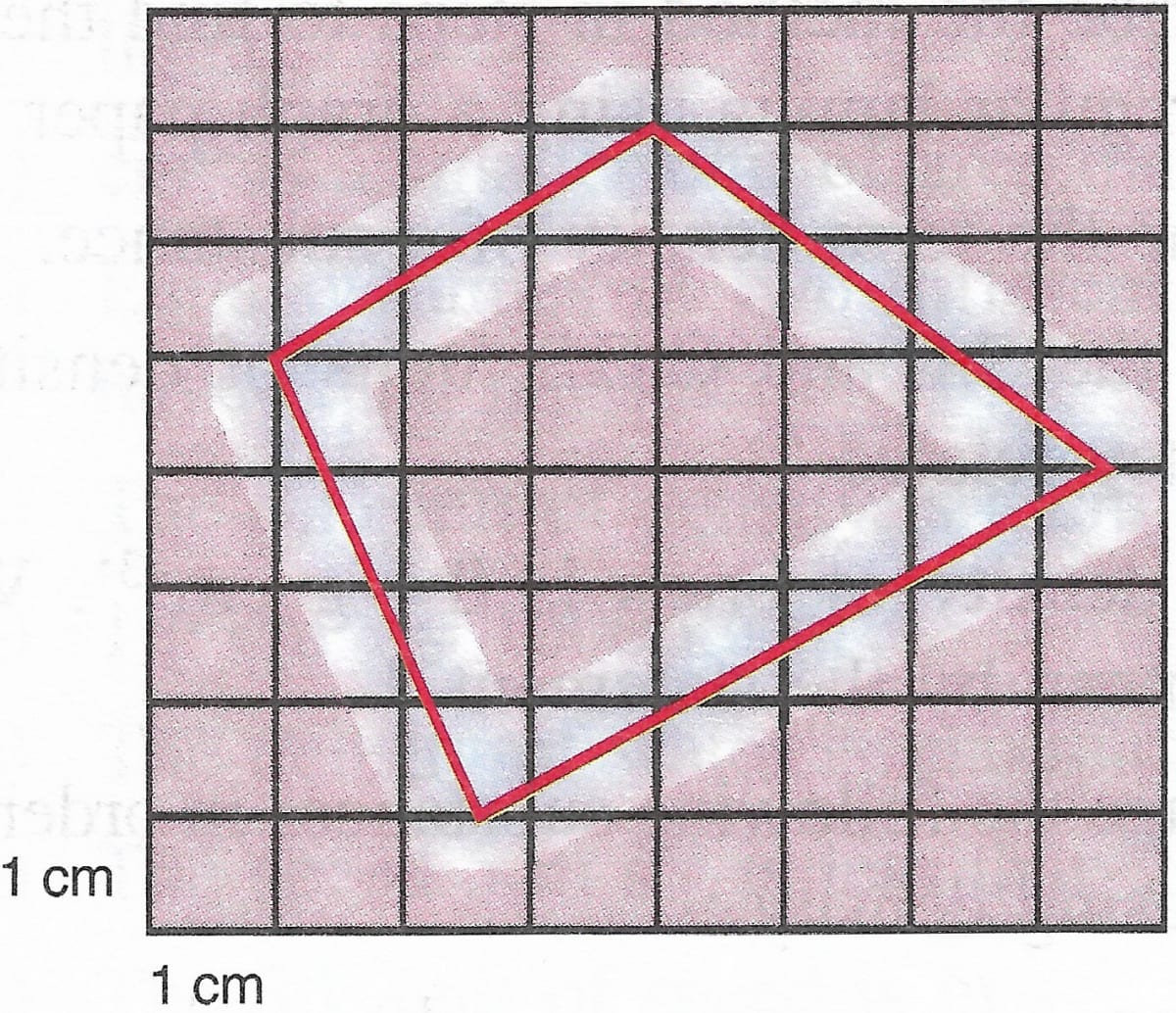 Find the approximate area of an irregular lamina of which boundary line is drawn on the graph paper shown in figure below. Physical Quantities and Measurement, Concise Physics Solutions ICSE Class 7.