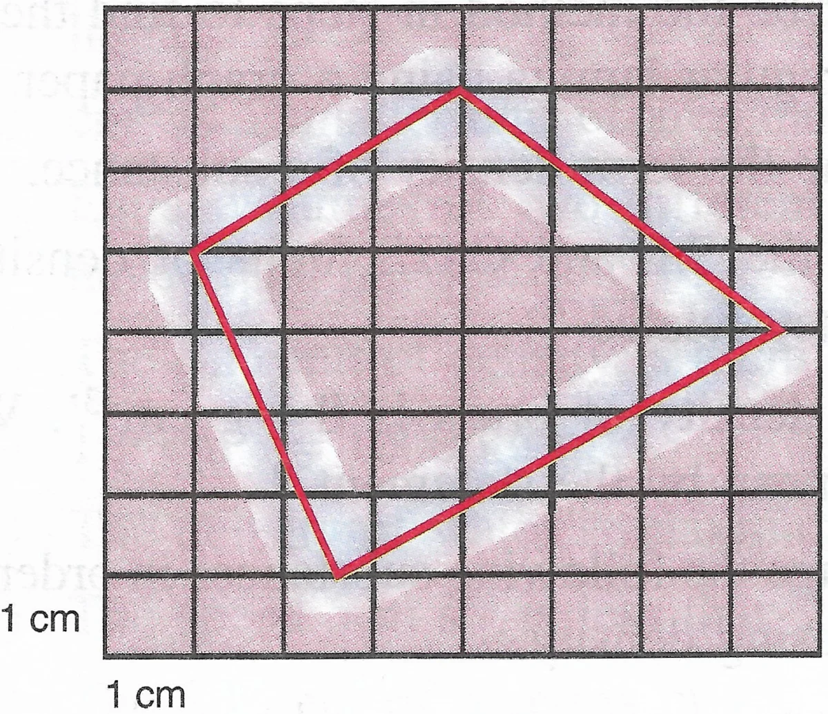 Irregular lamina on graph paper