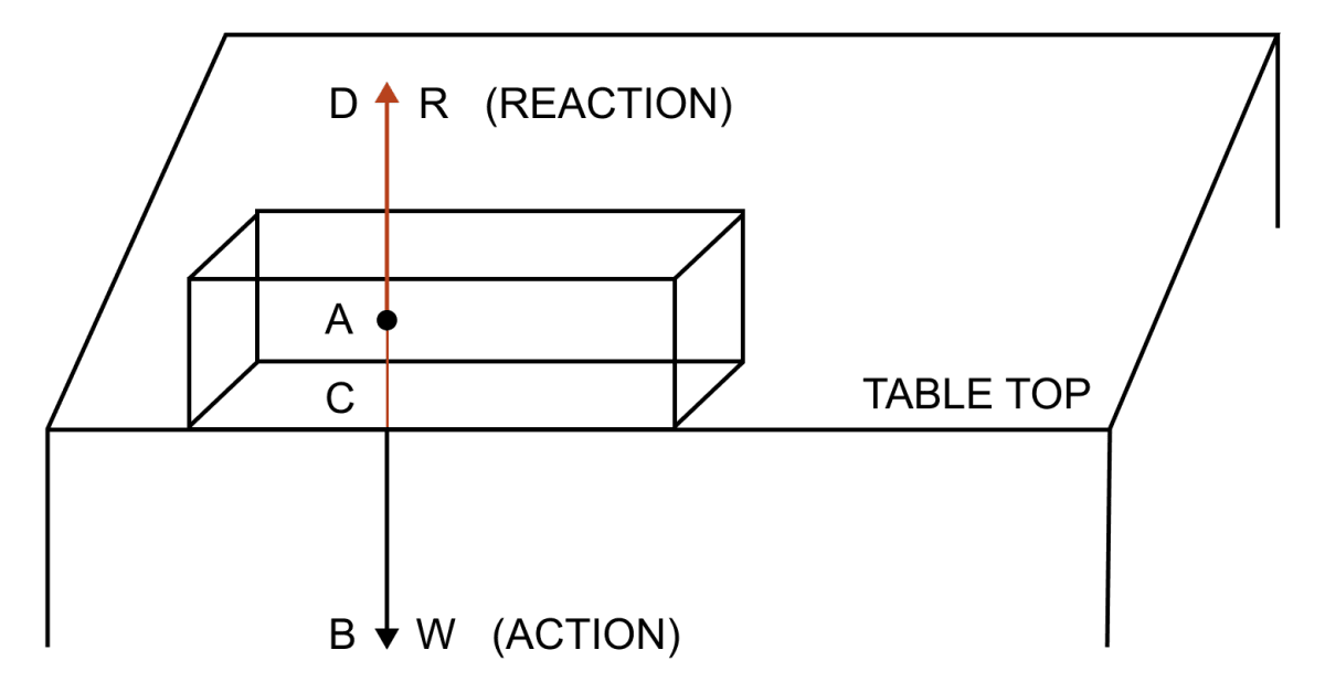 Name and state the action and reaction force when a book is lying on a table. Laws of Motion, Concise Physics Solutions ICSE Class 9.