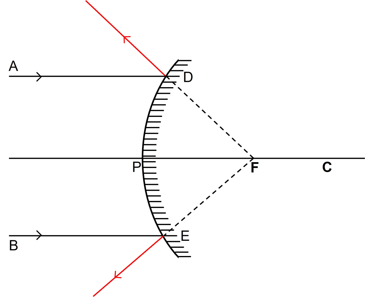 Name the mirrors shown in figure (a) and (b). In each case (a) and (b), draw the reflected rays for the given incident rays and mark focus by the symbol F. Reflection of Light, Concise Physics Solutions ICSE Class 9.