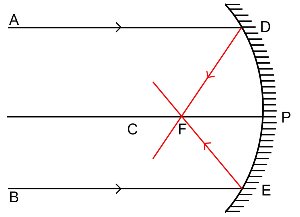 Name the mirrors shown in figure (a) and (b). In each case (a) and (b), draw the reflected rays for the given incident rays and mark focus by the symbol F. Reflection of Light, Concise Physics Solutions ICSE Class 9.
