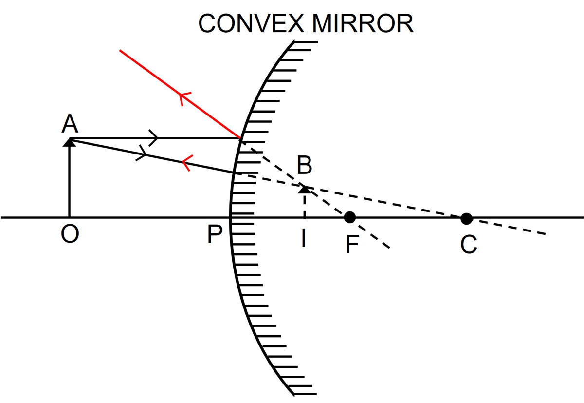 For a convex mirror, when the object is in front of the mirror, the image formed is? Reflection of Light, Concise Physics Solutions ICSE Class 9.