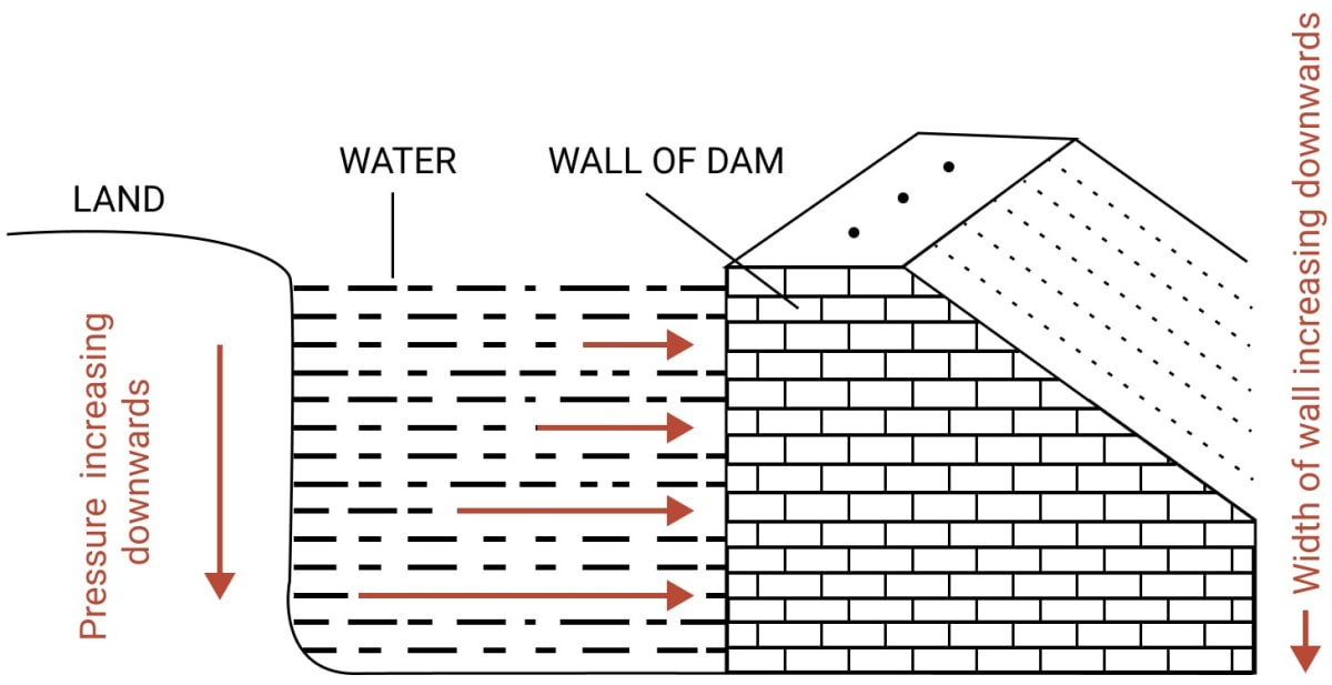 A dam has broader walls at the bottom than at the top. Explain. Pressure in Fluids & Atmospheric Pressure, Concise Physics Solutions ICSE Class 9.