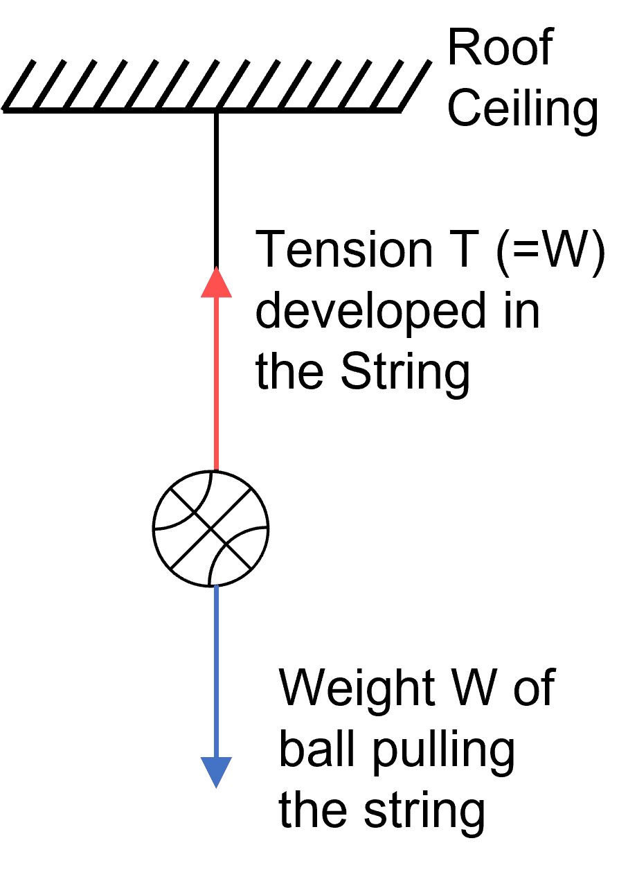 Laws of Motion figure placeholder 4