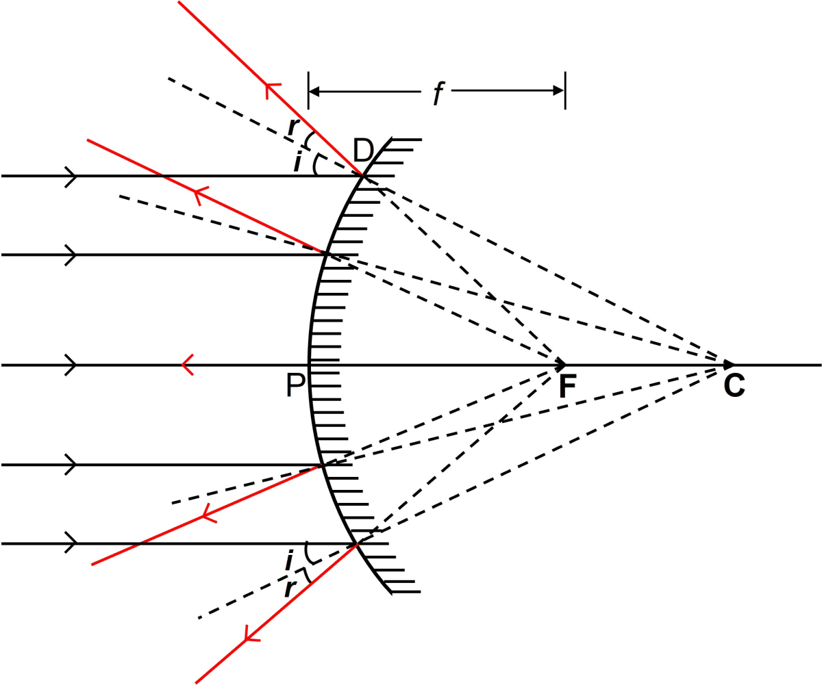 Name the spherical mirror which (i) diverges (ii) converges the beam of light incident on it. Justify your answer by drawing a ray diagram in each case. Reflection of Light, Concise Physics Solutions ICSE Class 9.