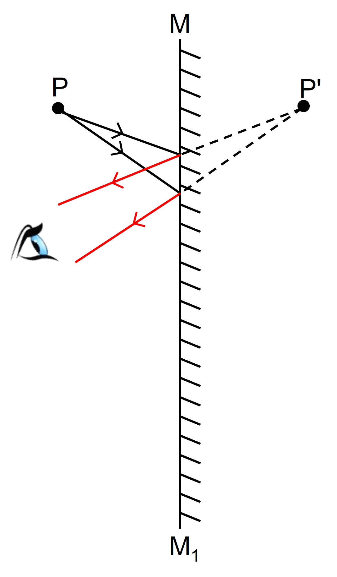 Diagram for this question