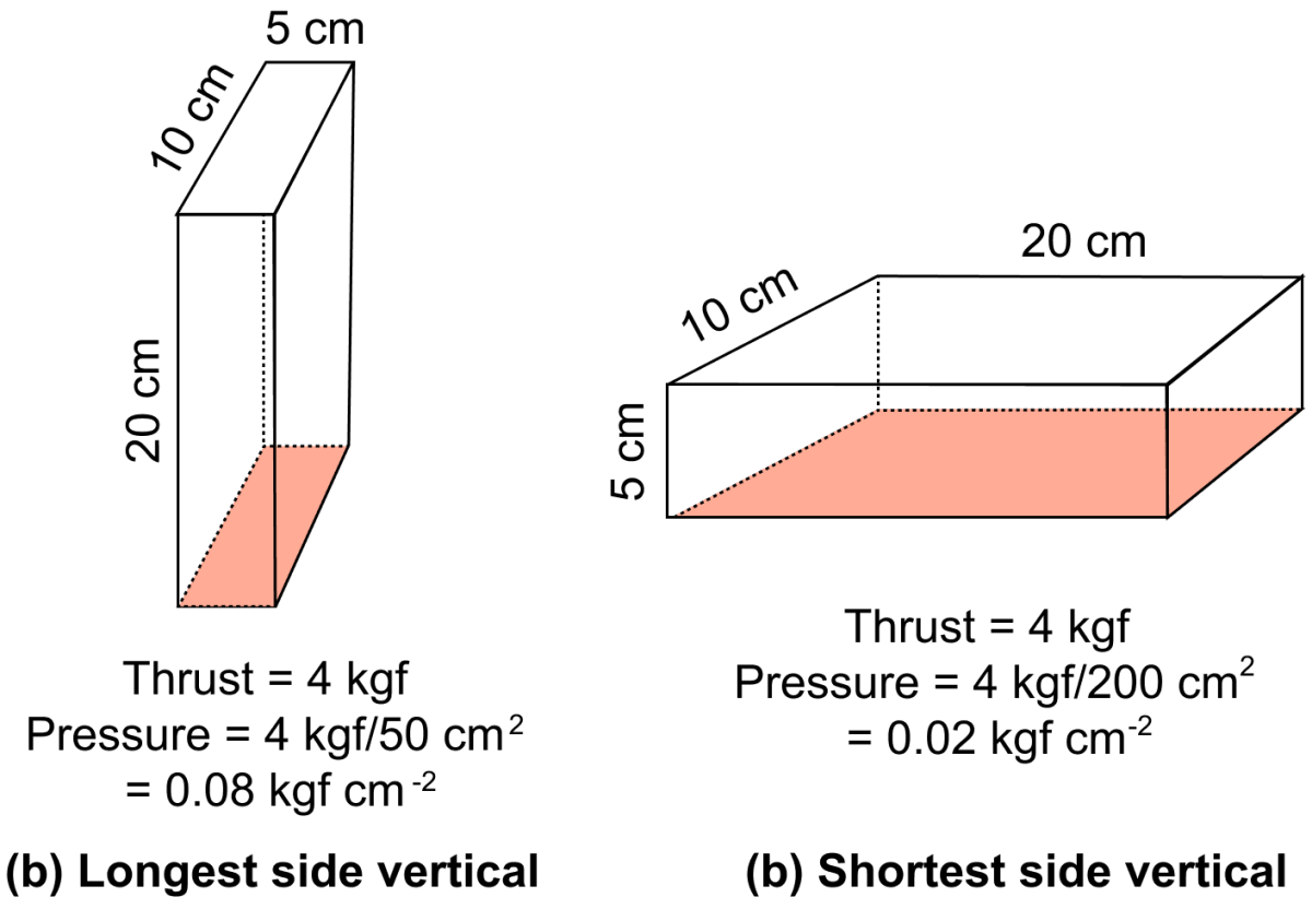 How does the pressure exerted by a thrust depend on the area of surface on which it acts ? Explain with a suitable example. Pressure in Fluids & Atmospheric Pressure, Concise Physics Solutions ICSE Class 9.