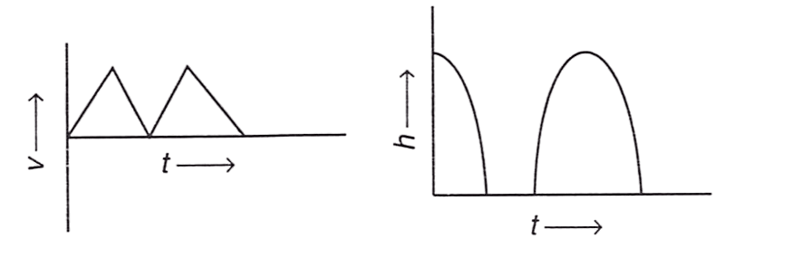 A rubber ball falls freely from a height h onto a smooth floor. After striking the floor, the ball again rises to the same height. Assume that the duration of contact of the ball with the floor is negligible. Identify the correct graph for velocity with time and height with time. Concise Physics Solutions ICSE Class 9.