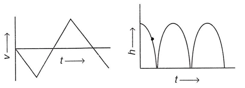 A rubber ball falls freely from a height h onto a smooth floor. After striking the floor, the ball again rises to the same height. Assume that the duration of contact of the ball with the floor is negligible. Identify the correct graph for velocity with time and height with time. Concise Physics Solutions ICSE Class 9.
