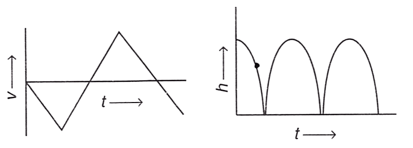 A rubber ball falls freely from a height h onto a smooth floor. After striking the floor, the ball again rises to the same height. Assume that the duration of contact of the ball with the floor is negligible. Identify the correct graph for velocity with time and height with time. Concise Physics Solutions ICSE Class 9.