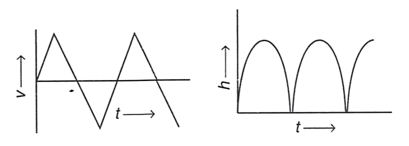 A rubber ball falls freely from a height h onto a smooth floor. After striking the floor, the ball again rises to the same height. Assume that the duration of contact of the ball with the floor is negligible. Identify the correct graph for velocity with time and height with time. Concise Physics Solutions ICSE Class 9.