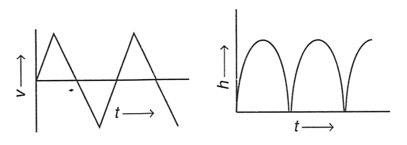A rubber ball falls freely from a height h onto a smooth floor. After striking the floor, the ball again rises to the same height. Assume that the duration of contact of the ball with the floor is negligible. Identify the correct graph for velocity with time and height with time. Concise Physics Solutions ICSE Class 9.