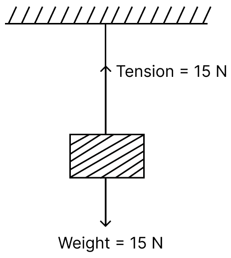 In figure, a block of weight 15 N is hanging from a rigid support by a string. What force is exerted by block on the string, string on the block. Laws of Motion, Concise Physics Solutions ICSE Class 9.
