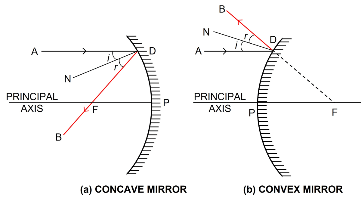 State the two convenient rays that are chosen to construct the image by a spherical mirror for a given object? Explain your answer with the help of suitable ray diagrams. Reflection of Light, Concise Physics Solutions ICSE Class 9.