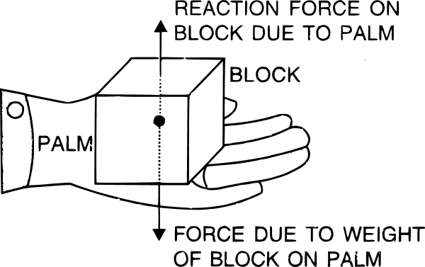 Laws of Motion figure placeholder 3