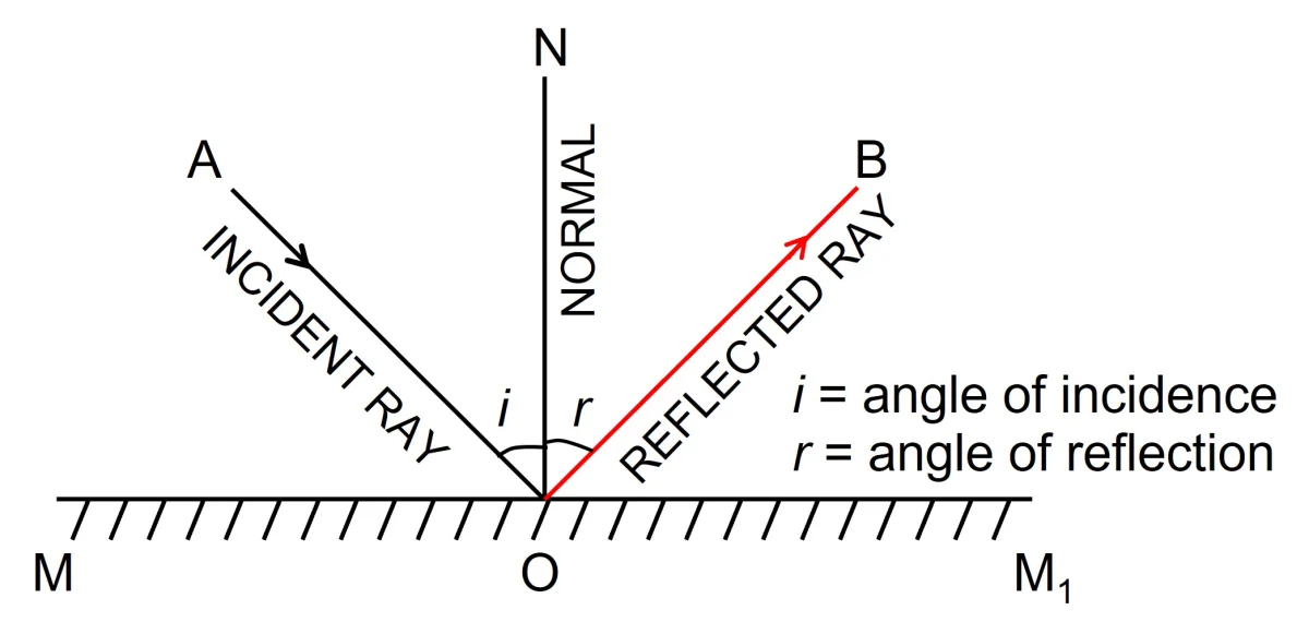 Diagram for this question