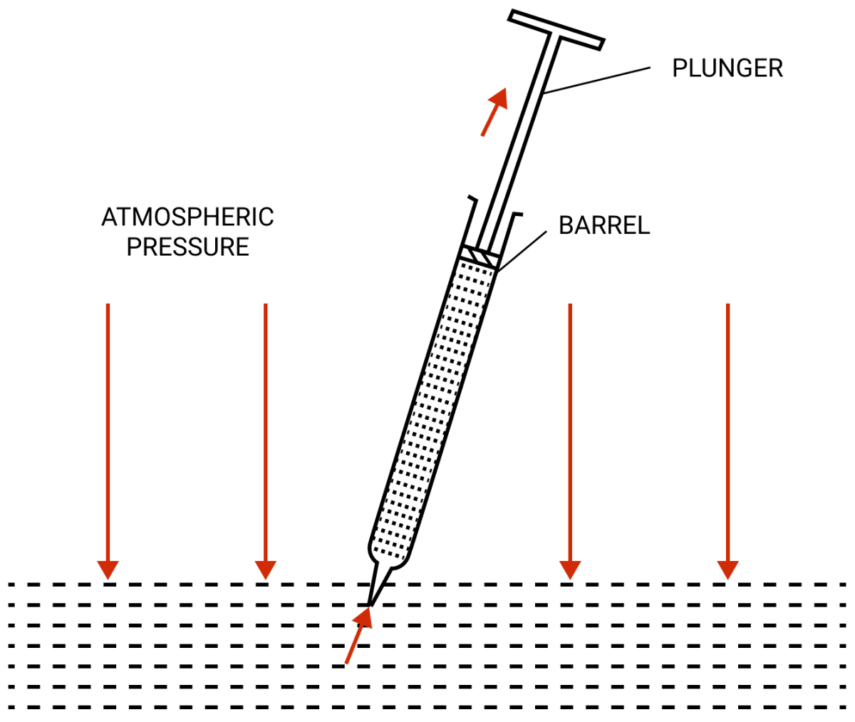 Why does the liquid rise in a syringe when it's piston is pulled up? Pressure in Fluids & Atmospheric Pressure, Concise Physics Solutions ICSE Class 9.