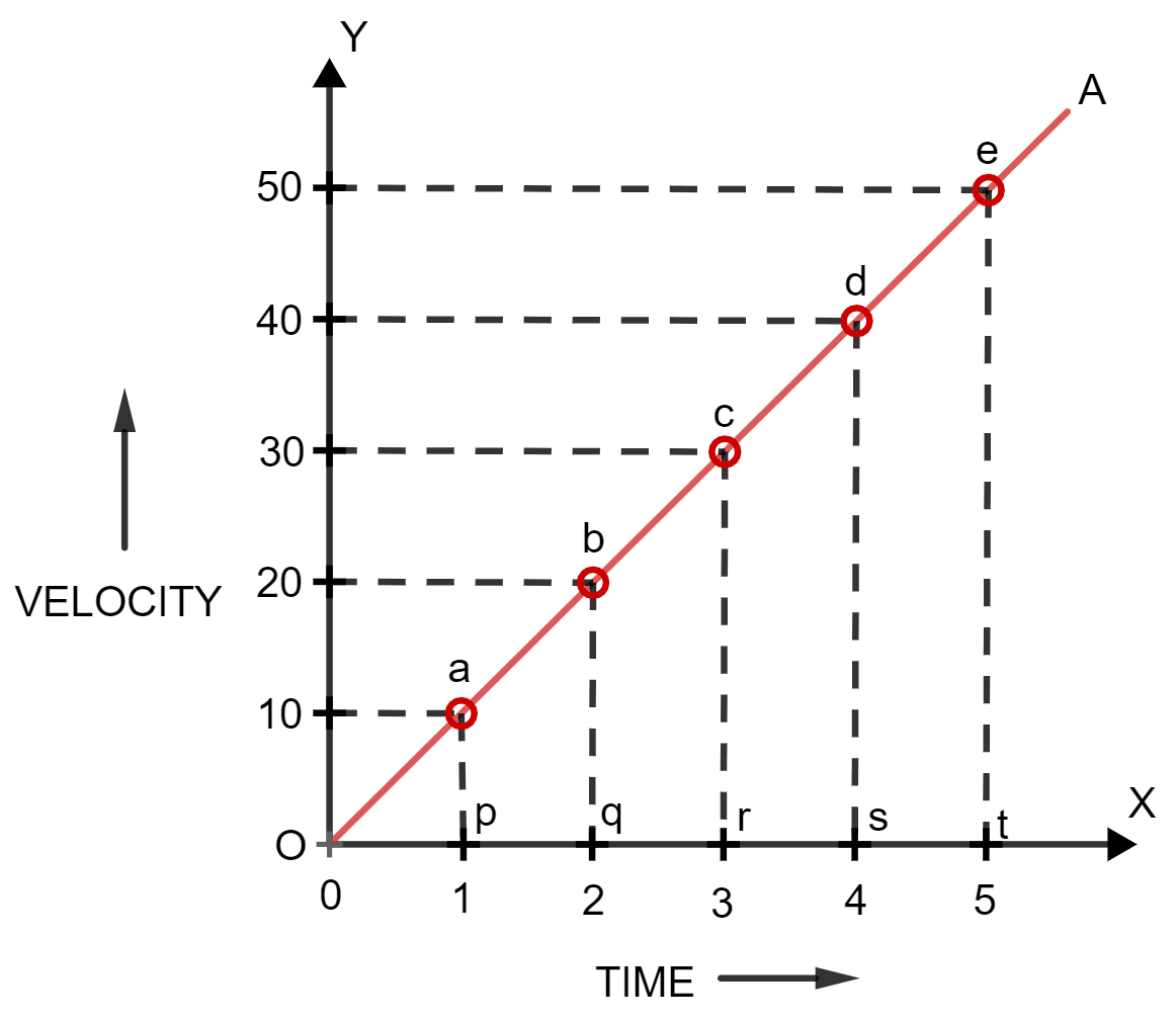 A body falls freely from a certain height. Show graphically the relation between the distance fallen and square of time. How will you determine g from this graph? Motion in one dimension, Concise Physics Solutions ICSE Class 9.