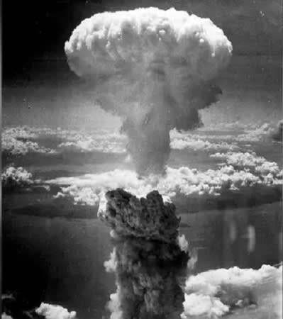 With reference to the picture given here, answer the following questions. The Second World War (1939-45), DN Kundra History and Civics Goyal Brothers Solutions ICSE Class 10.