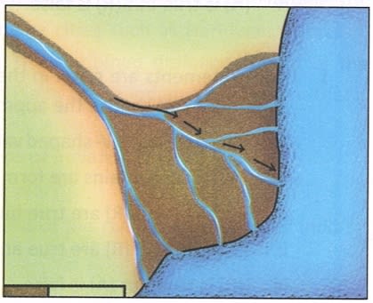 Identify the triangular brown feature from the diagram and tick (✓) the correct option. Frank Middle School Geography Solutions ICSE Class 6.