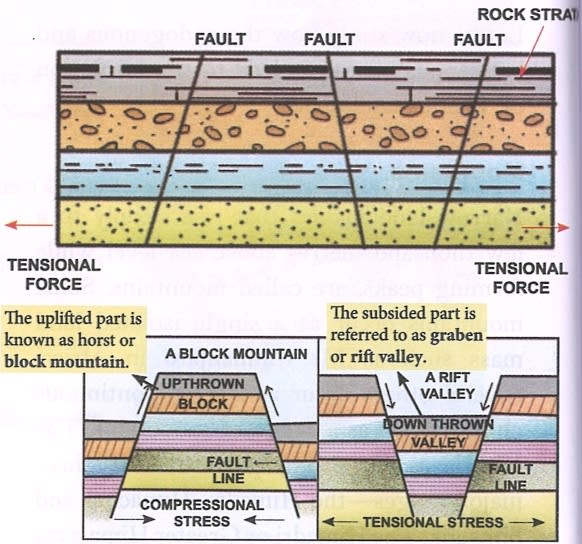 Explain with the help of diagrams how block mountains and rift valleys are formed. Frank Middle School Geography Solutions ICSE Class 6.
