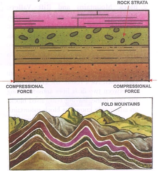 Draw a diagram to show a folded topography. Frank Middle School Geography Solutions ICSE Class 6.