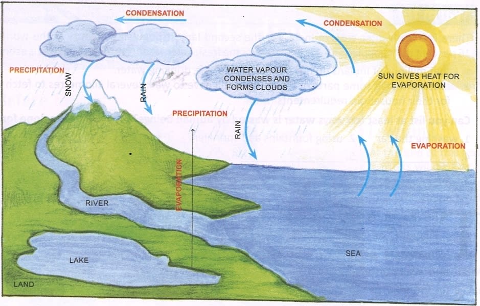 Diagram showing the the hydrological cycle is given below: Frank Middle School Geography Solutions ICSE Class 6.