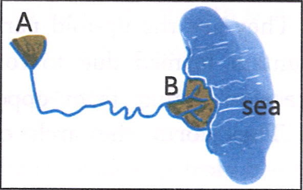 Identify A and B in the diagram. A—a distributary, B—a tributary. 2. A—a lake, B—a river. 3. A—a tributary, B—a sea. 4. A—a tributary, B—a distributary Frank Middle School Geography Solutions ICSE Class 6.