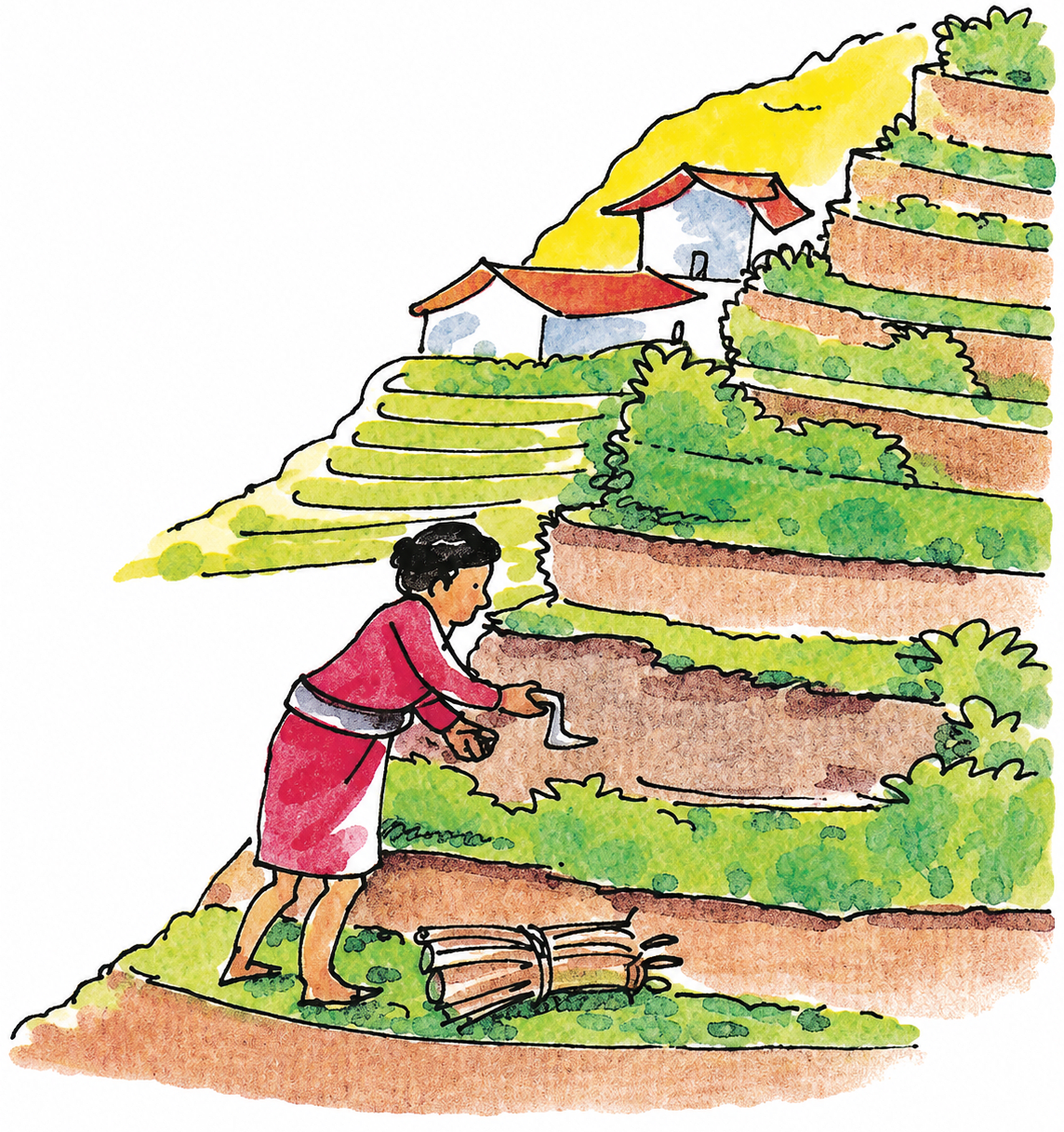 Look at the given picture and answer the following questions. Weathering and Soil Formation, Frank Middle School Geography Solutions ICSE Class 7.