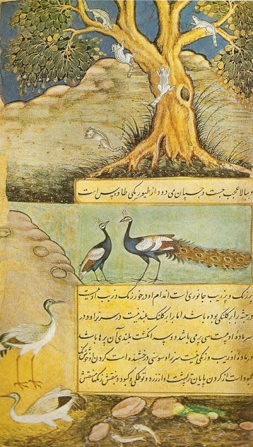 Study the given picture and answer the following questions. The Turkish Invasions, Frank Modern Certificate History and Civics Solutions ICSE Class 7.
