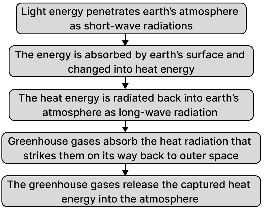 Discuss the concept, causes and effects of green house effect. Issues of the Environment, ICSE Commercial Applications CB Gupta Goyal Brothers Solutions Class 10.