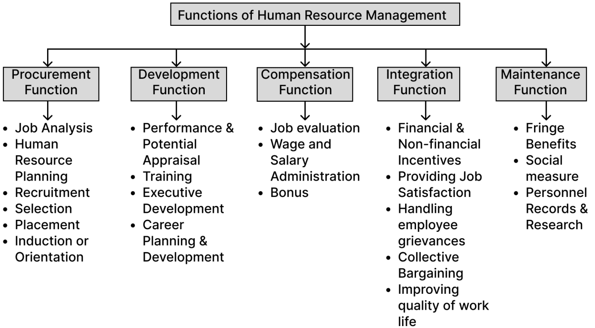 Describe any one/two function of human resource management. Importance of Human Resources, ICSE Commercial Applications CB Gupta Goyal Brothers Solutions Class 10.