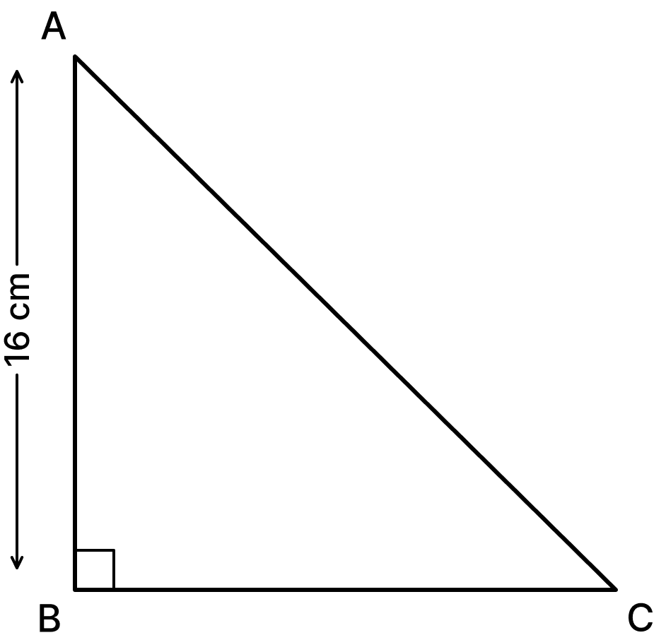 The area of a right triangle is 240 cm 2 and one of its legs is 16 cm long. Find the length of the other leg. Mensuration, Foundation Mathematics R.S. Aggarwal ICSE Class 7.