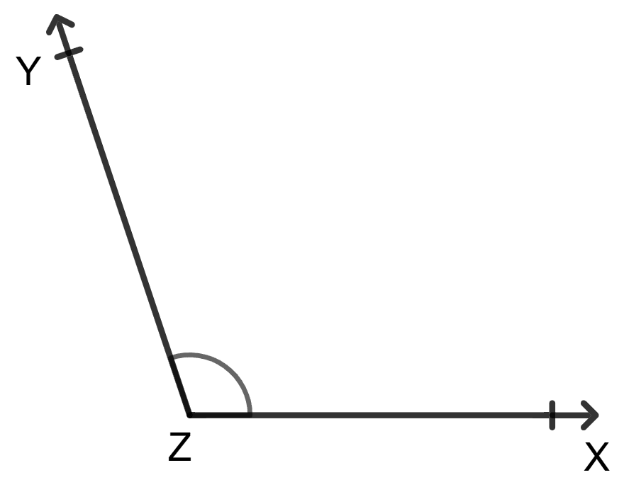 Name each of the following angles : Lines and Angles, Foundation Mathematics R.S. Aggarwal ICSE Class 7.