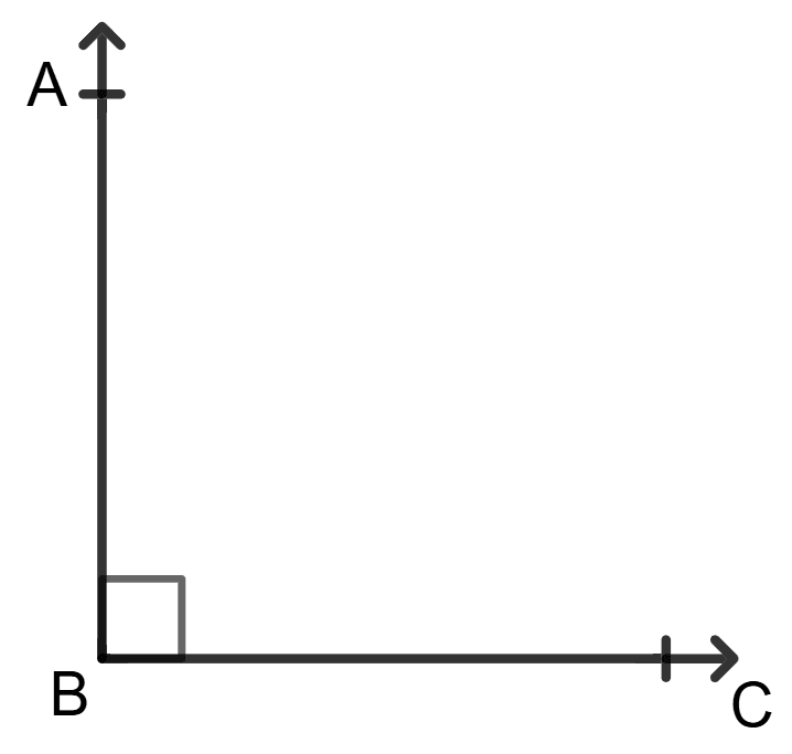 Name each of the following angles : Lines and Angles, Foundation Mathematics R.S. Aggarwal ICSE Class 7.