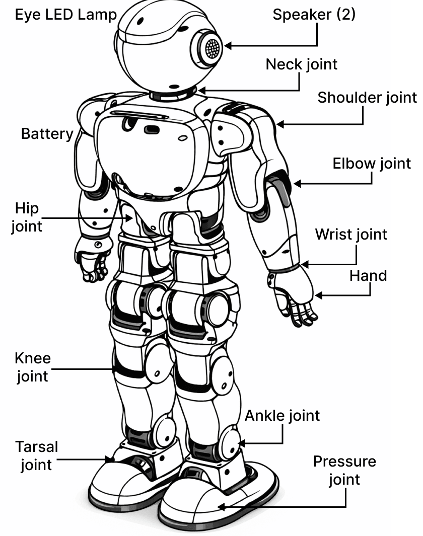 Observe the following humanoid robot and identify its various components. Write the components under appropriate headings in the space provided for answer. Robot as a System, KIPS ICSE Robotics & Artificial Intelligence Solutions Class 9.