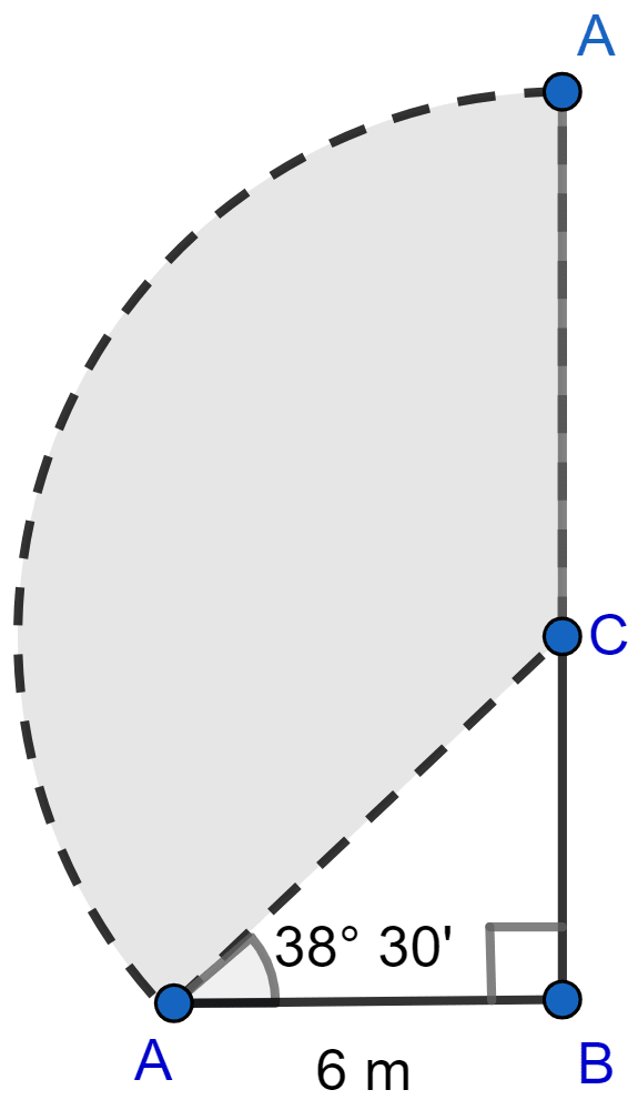 The upper part of a tree broken by wind, falls to the ground without being detached. The top of the broken part touches the ground at an angle of 38° 30' at a point 6 m from the foot of the tree. Calculate (i) the height at which the tree is broken. (ii) the original height of the tree correct to two decimal places. Heights and Distances, ML Aggarwal Understanding Mathematics Solutions ICSE Class 10.