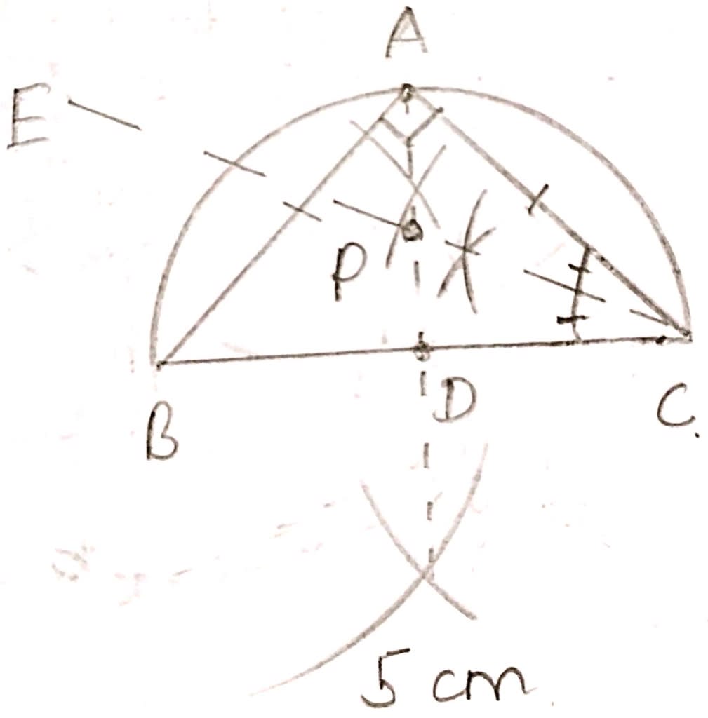 By using ruler and compasses only, construct an isosceles triangle ABC in which BC = 5 cm, AB = AC and ∠BAC = 90°. Locate the point P such that (i) P is equidistant from the sides BC and AC. (ii) P is equidistant from the points B and C. Locus, ML Aggarwal Understanding Mathematics Solutions ICSE Class 10.