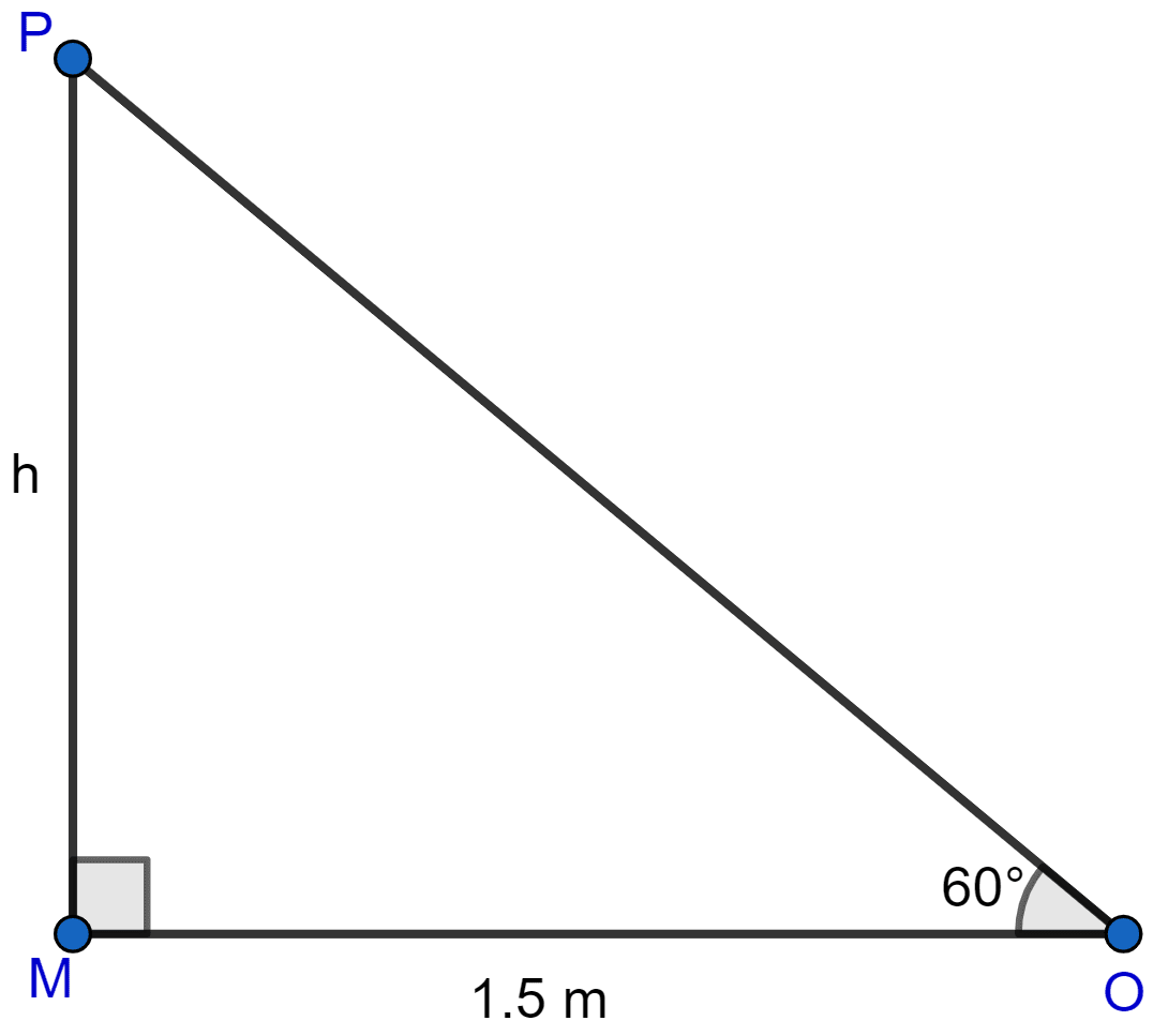 A ladder is placed against a wall such that it just reaches the top of the wall. The foot of the ladder is 1.5 metres away from the wall and the ladder is inclined at an angle of 60° with the ground. Find the height of the wall. Heights and Distances, ML Aggarwal Understanding Mathematics Solutions ICSE Class 10.