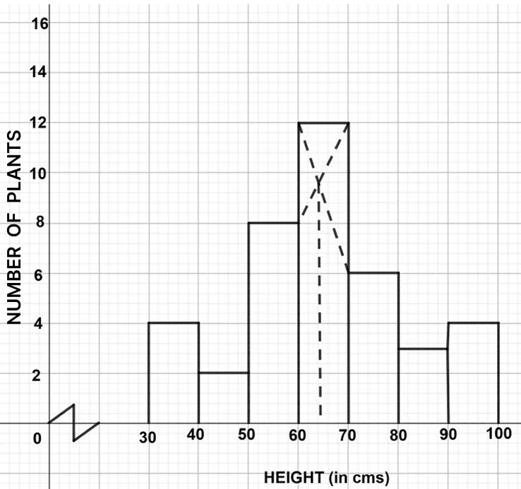 The given graph with a histogram represents the number of plants of different heights grown in a school campus. Study the graph carefully and answer the following questions : ICSE 2024 Maths Solved Question Paper.