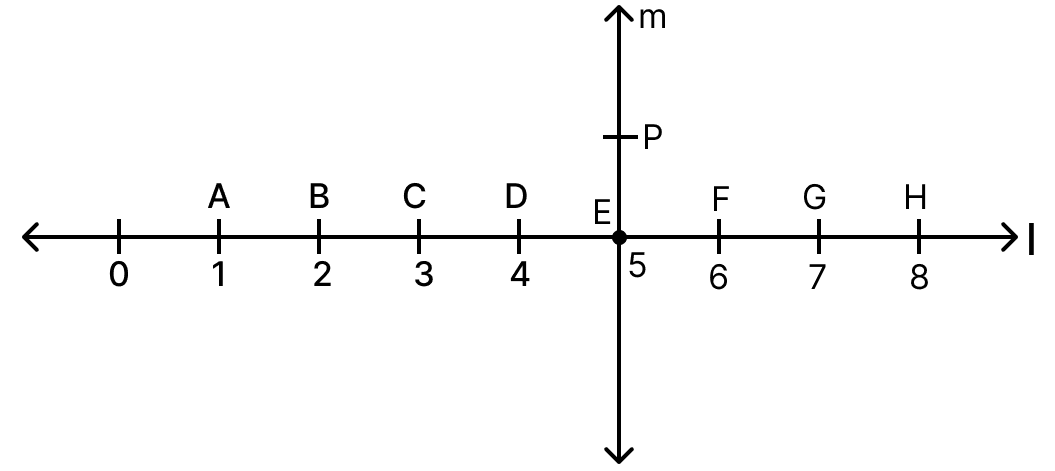 In the figure given below, line l is perpendicular to line m. Understanding Elementary Shapes, ML Aggarwal Understanding Mathematics Solutions ICSE Class 6.
