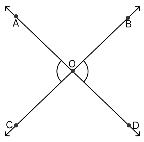 Draw rough diagrams of two angles such that they have. Basic Geometrical Concepts, ML Aggarwal Understanding Mathematics Solutions ICSE Class 6.