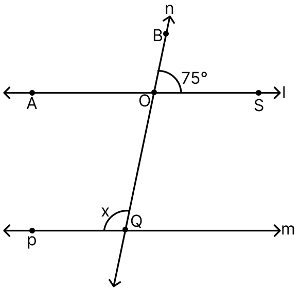 In the adjoining figure, if l ∥ m then the value of x is. Integers, ML Aggarwal Understanding Mathematics Solutions ICSE Class 7.