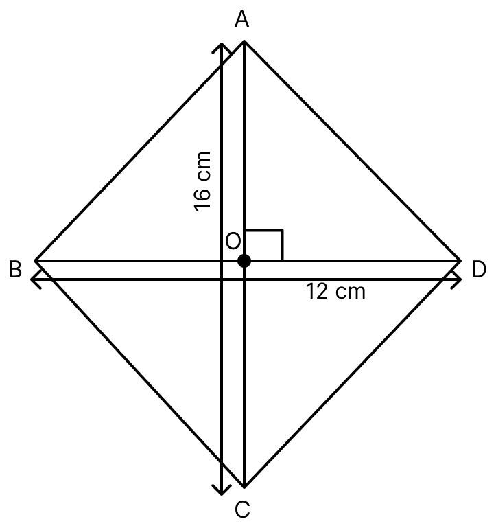 The diagonals of a rhombus are 16 m and 12 m, find:. Mensuration, ML Aggarwal Understanding Mathematics Solutions ICSE Class 8