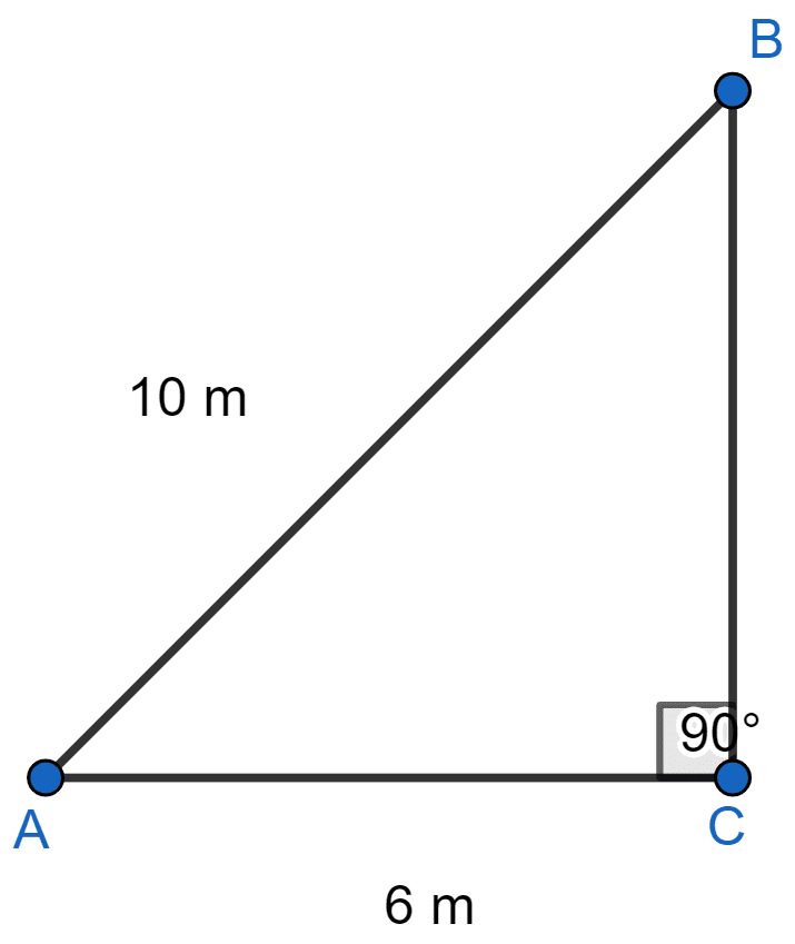 Foot of a 10 m long ladder leaning against a vertical well is 6 m away from the base of the wall. Find the height of the point on the wall where the top of the ladder reaches. Pythagoras Theorem, ML Aggarwal Understanding Mathematics Solutions ICSE Class 9.