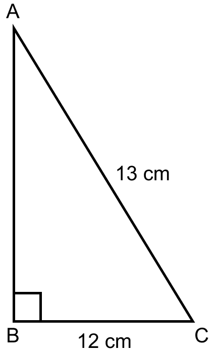 The base of a right angled triangle is 12 cm and its hypotenuse is 13 cm long. Find its area and the perimeter. Mensuration, ML Aggarwal Understanding Mathematics Solutions ICSE Class 9.